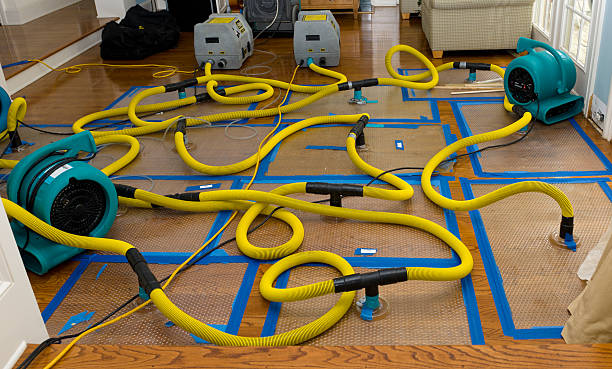 Professional Crawl Space Water Removal technician working in La Conner, WA